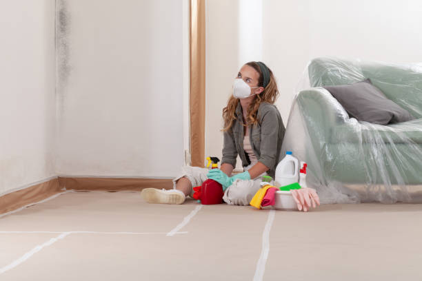 Reliable Mold Inspection contractor in Wanaque, NJ by WQB Mold Removal